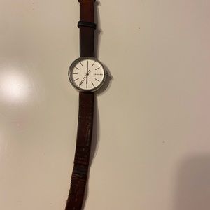 Brown Leather Skagen Women’s Stainless Steel Watch